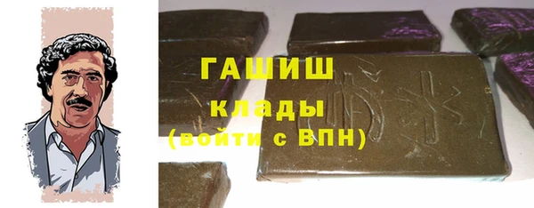 индика Бугульма