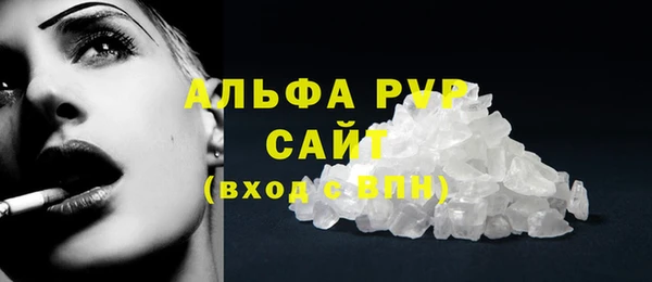 индика Бугульма