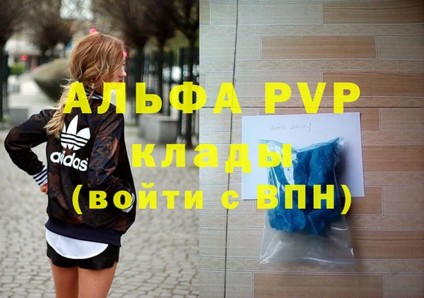 индика Бугульма