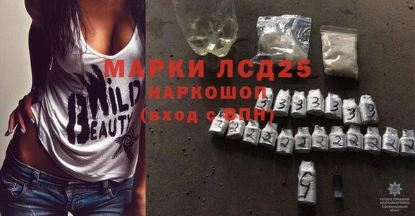 индика Бугульма