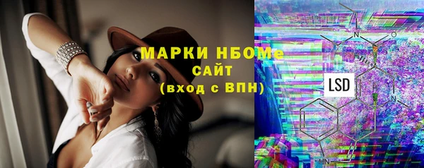 индика Бугульма