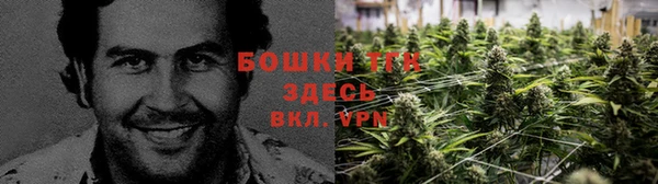 индика Бугульма