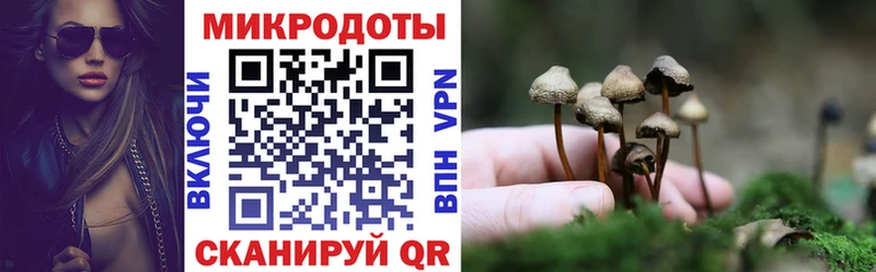 Галлюциногенные грибы MAGIC MUSHROOMS  кракен зеркало  Шадринск 